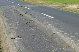 Jesień, liście, możliwy poślizg auta. Policjanci apelują o dostosowanie prędkości do warunków na jezdni.