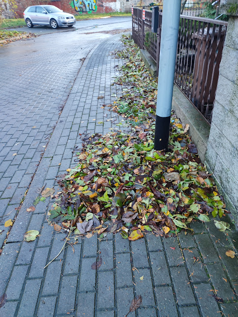 Przewalające się nad krajem wichury zrywają liście. Pamiętaj, że prawo nakazuje właścicielom usuwanie liści z chodników przed domami.