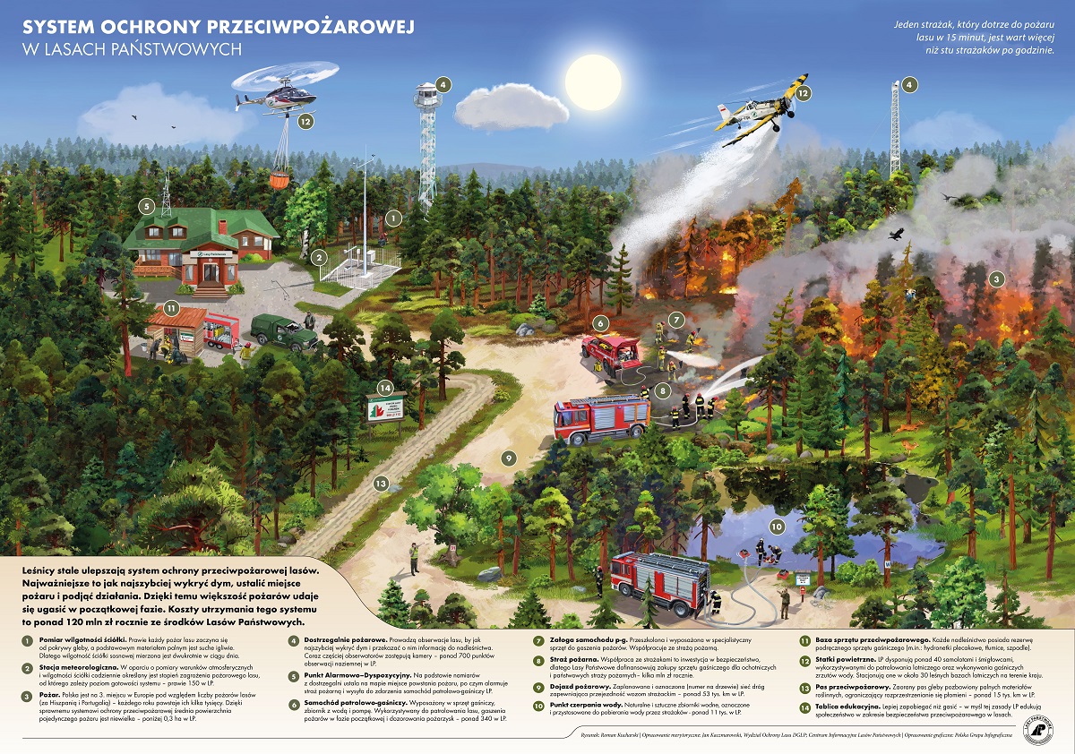 99 na 100 pożarów leśnych wynika z winy człowieka. Jako #adwokat zwracam uwagę na zwiększenie kar za sprowadzenie ognia.