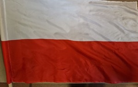 Narodowy Dzień Pamięci Żołnierzy Armii Krajowej nie daje prawa do wolnego