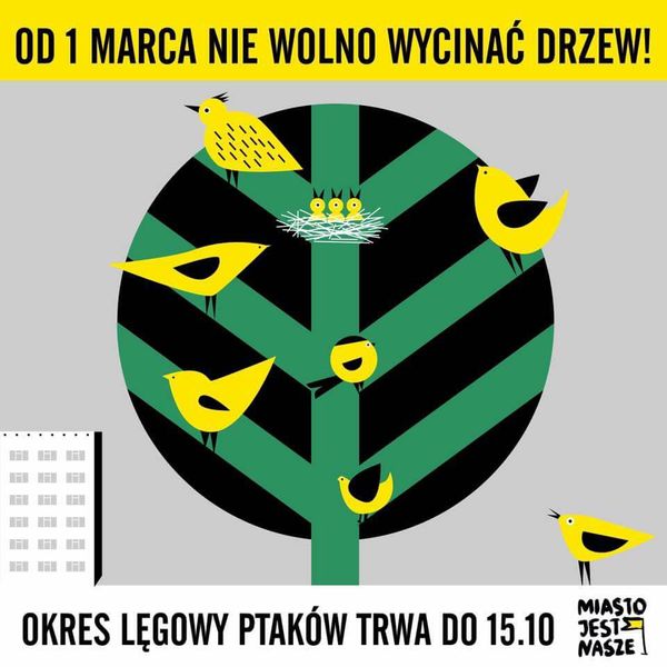 Okres lęgowy – zakaz wycinki