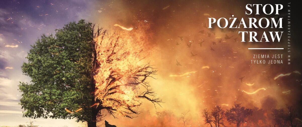 Gdańscy policjanci przypominają o zakazie wypalania traw